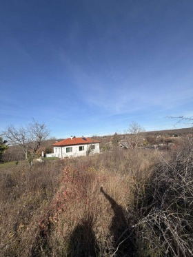 ����� ������� ������,���� �����, �-� �����������