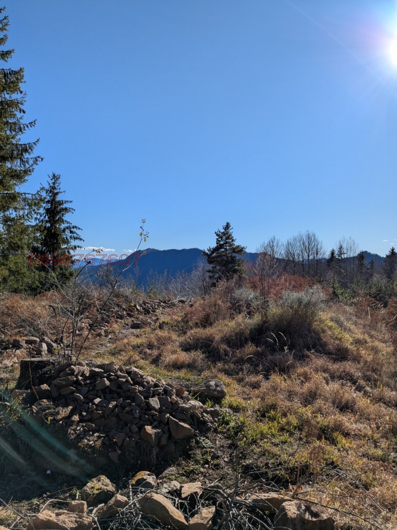 Продава ПАРЦЕЛ, гр. Смолян, Езерово, снимка 3 - Парцели - 52783210