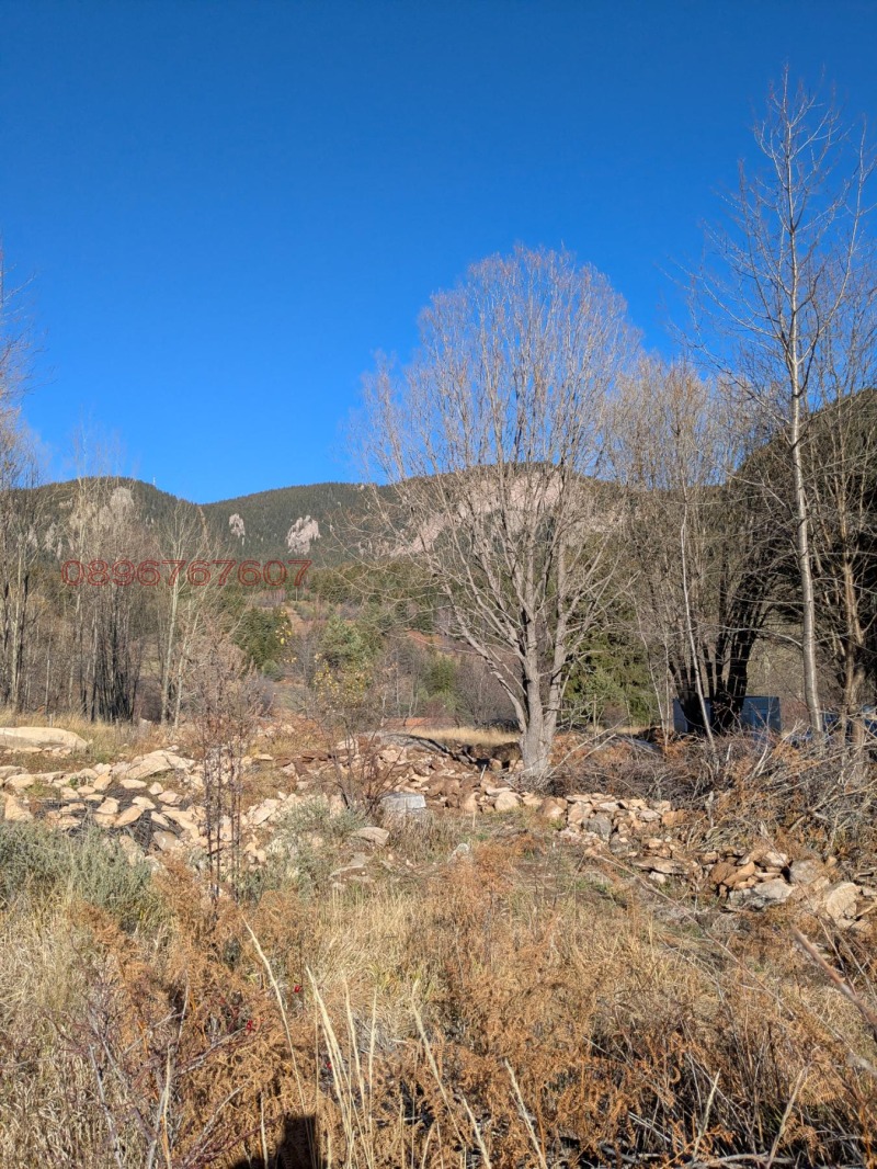 Продава ПАРЦЕЛ, гр. Смолян, Езерово, снимка 2 - Парцели - 52783210