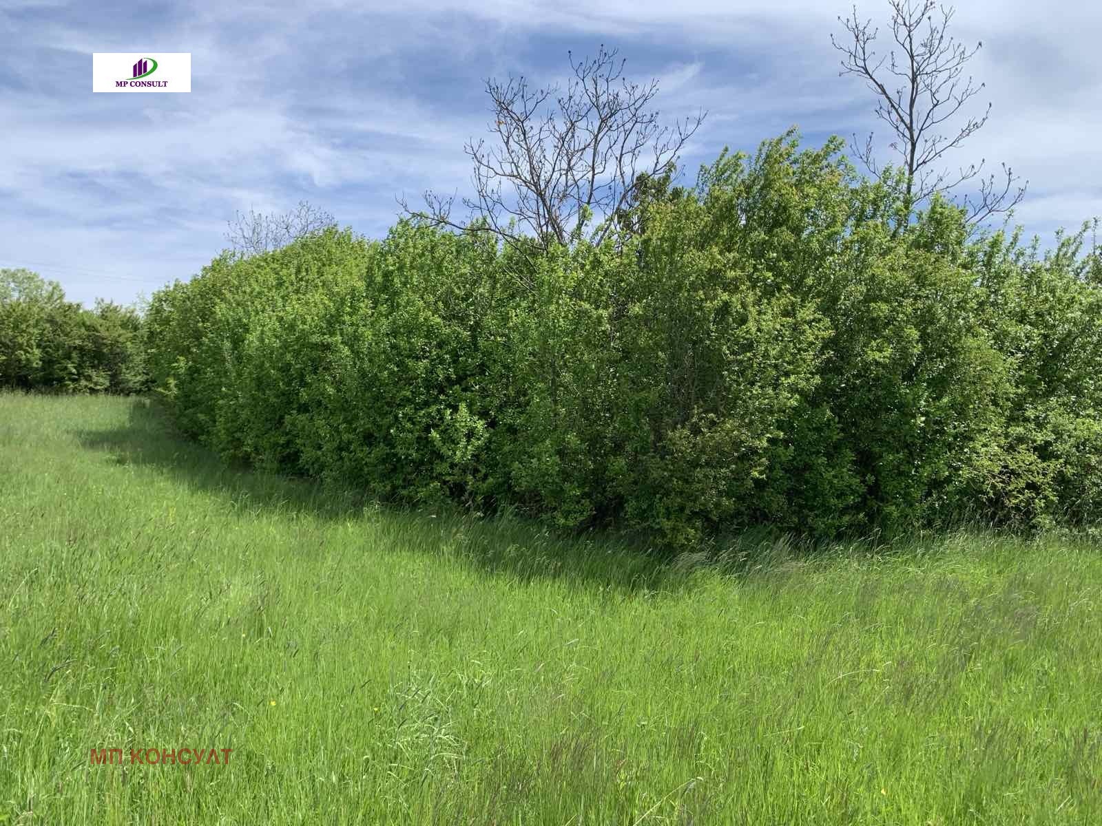 Продава КЪЩА, с. Василовци, област София област, снимка 4 - Къщи - 54620212