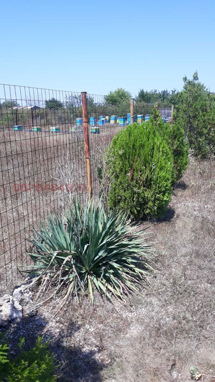 Продава ПАРЦЕЛ, с. Топола, област Добрич, снимка 2 - Парцели - 54265367