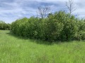 Продава КЪЩА, с. Василовци, област София област, снимка 4