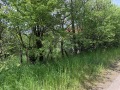 Продава КЪЩА, с. Василовци, област София област, снимка 7