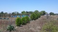Продава ПАРЦЕЛ, с. Топола, област Добрич, снимка 1