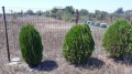 Продава ПАРЦЕЛ, с. Топола, област Добрич, снимка 3