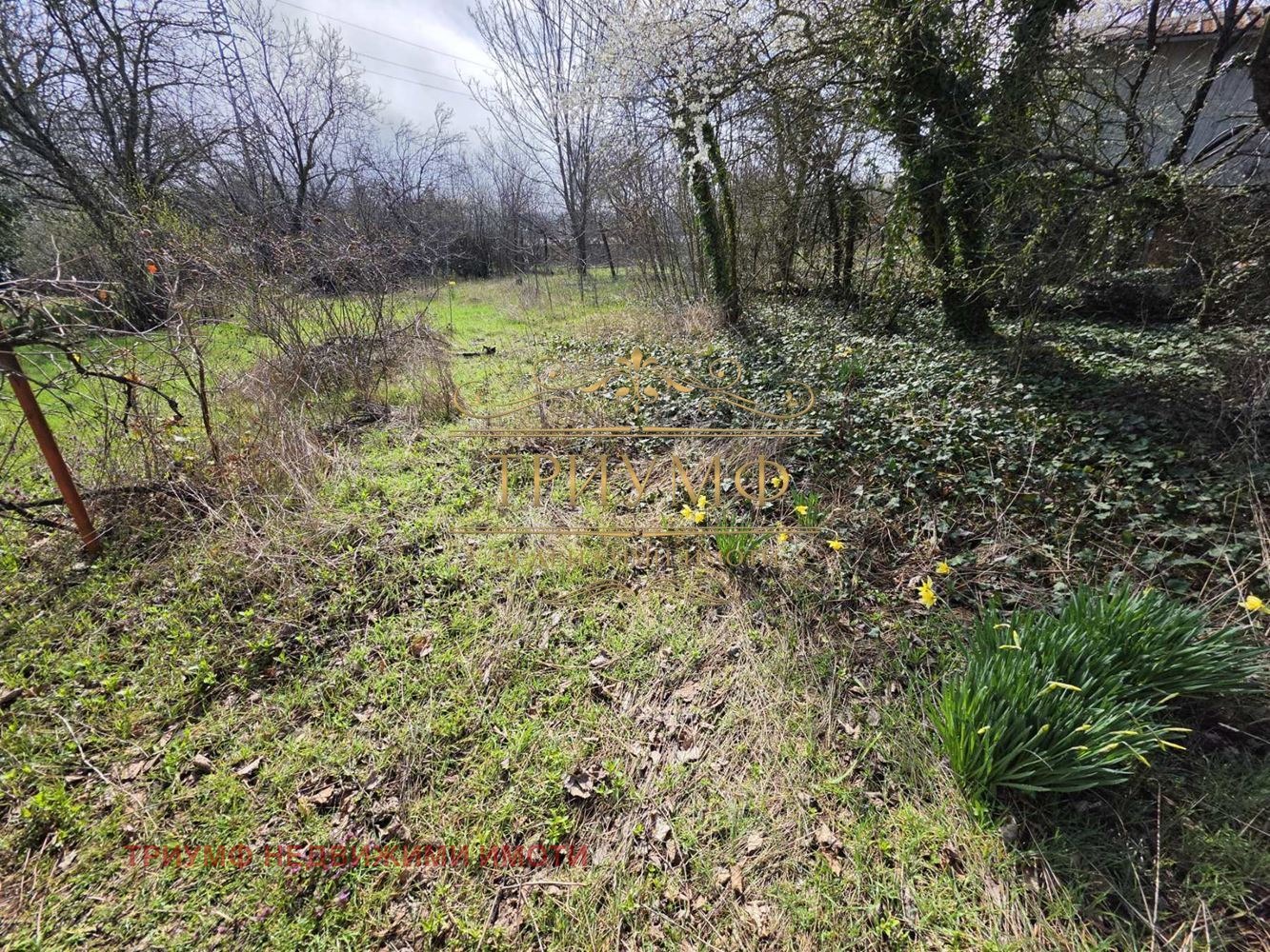 ������� ���� | Imot.bg � ����������� 7