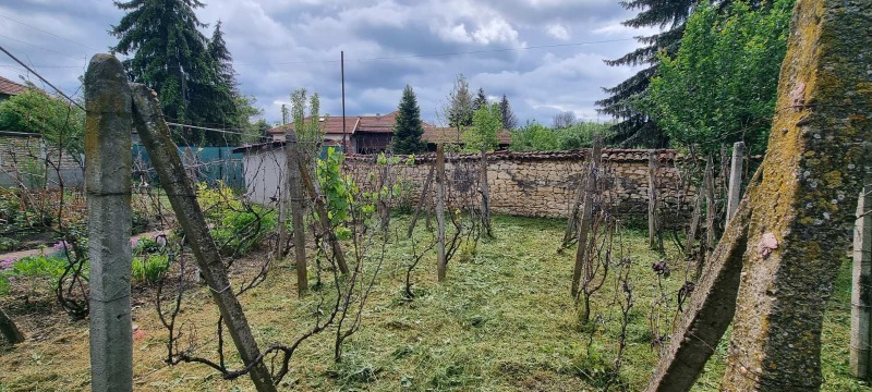 Eladó  Ház régió Razgrad , Topcsii , 59 négyzetméter | 60008817 - kép [10]