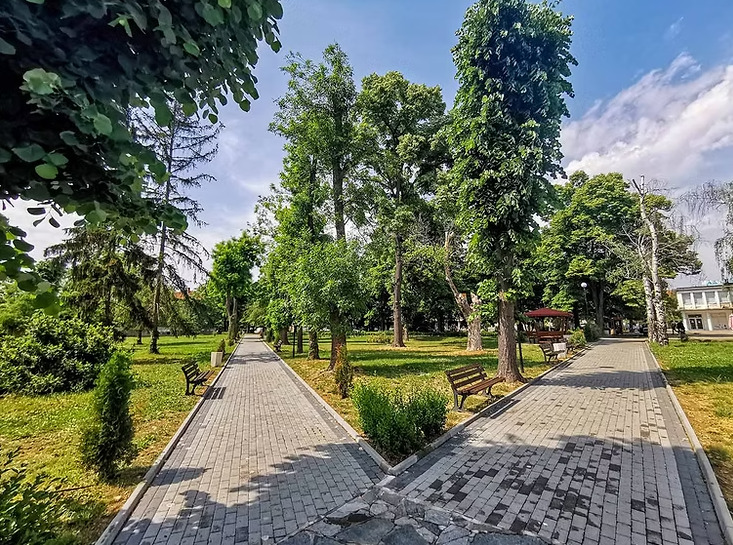 Продава ПАРЦЕЛ, гр. Баня, област Пловдив, снимка 4 - Парцели - 55090248