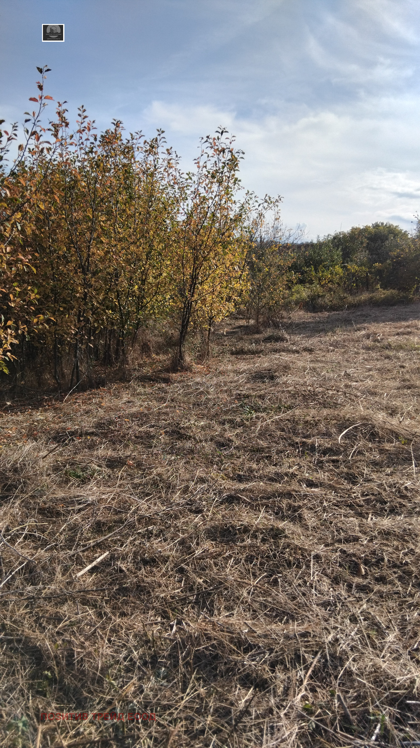 Продава КЪЩА, с. Селище, област Благоевград, снимка 4 - Къщи - 56466874