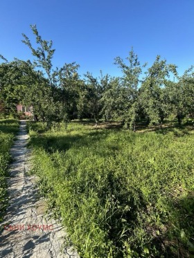 Hus Gorna Orjahovica, region Veliko Tarnovo 13