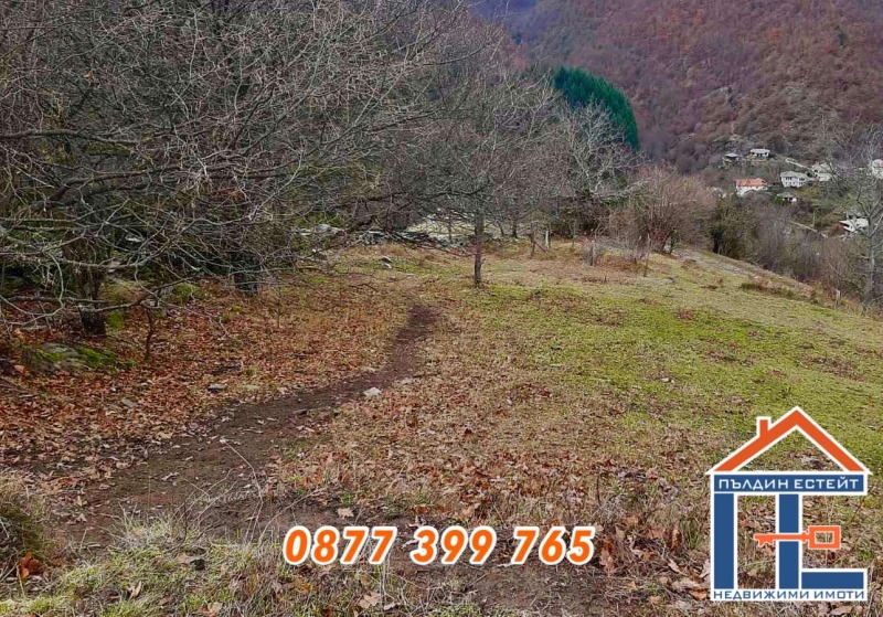 Te koop  Land regio Plovdiv , Kosovo , 3.2 dka | 80624157 - afbeelding [5]