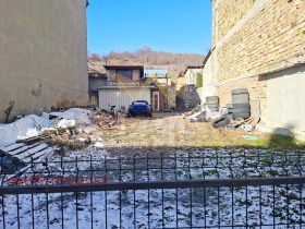 ����� ������� ������,���� �����, ������