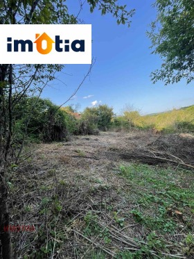 ������� ������ | Imot.bg � ����� ������ 8