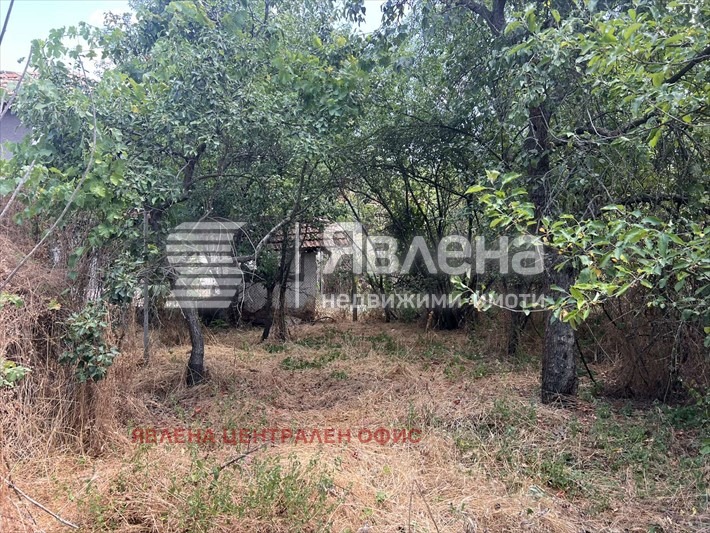 Продава КЪЩА, с. Шишковци, област Кюстендил, снимка 6 - Къщи - 54117232