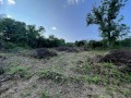 Продава ПАРЦЕЛ, с. Голяма Желязна, област Ловеч, снимка 10