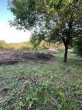 Продава ПАРЦЕЛ, с. Голяма Желязна, област Ловеч, снимка 9
