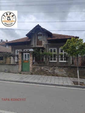 ������ ������� ����