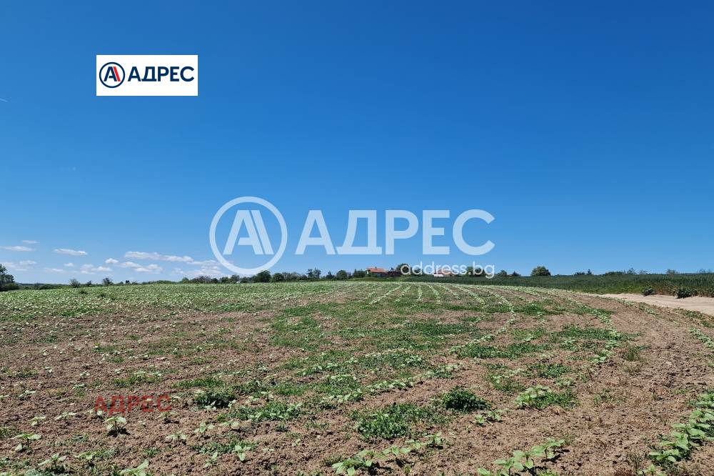 Продава ПАРЦЕЛ, с. Здравец, област Варна, снимка 3 - Парцели - 54135856