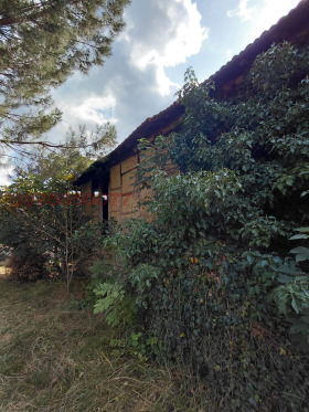 ������� ���� | Imot.bg � ����� ������ 5