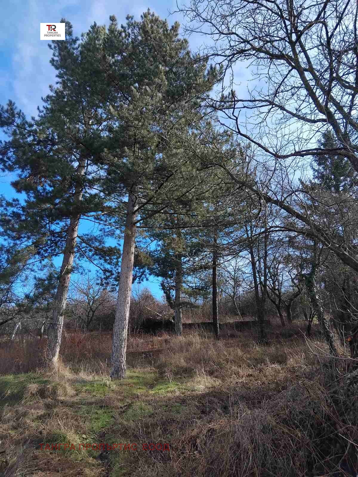 Продава ПАРЦЕЛ, с. Касилаг, област Перник, снимка 2 - Парцели - 53687842