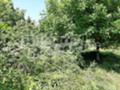 Продава ПАРЦЕЛ, с. Самоводене, област Велико Търново, снимка 1