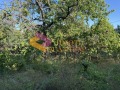 Продава ПАРЦЕЛ, гр. Варна, м-т Боровец - юг, снимка 1