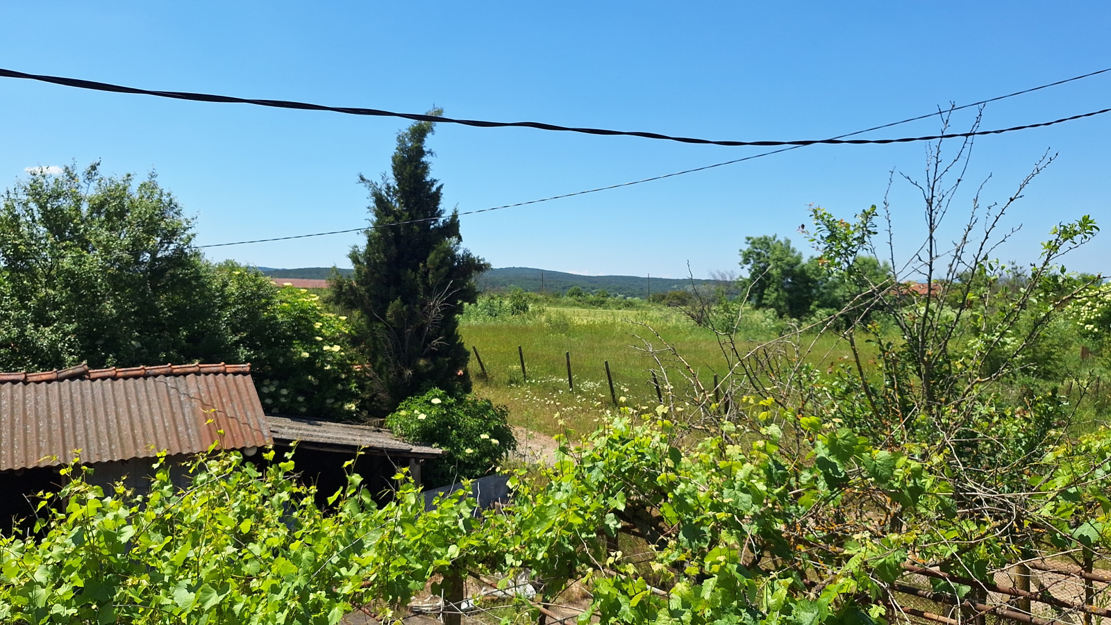 ������� ���� | Imot.bg � ����������� 11