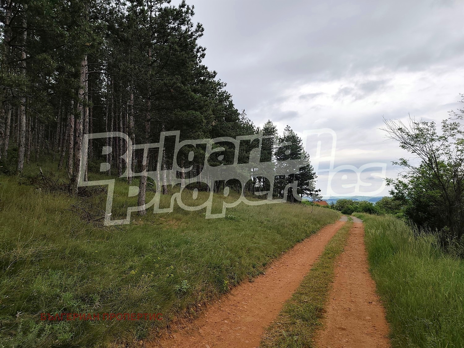������� ������ | Imot.bg � ����������� 17