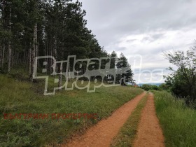 ������� ������ | Imot.bg � ����� ������ 17