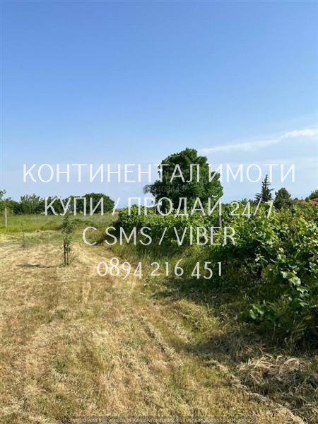 Продава КЪЩА, с. Драгомир, област Пловдив, снимка 4 - Къщи - 55995879