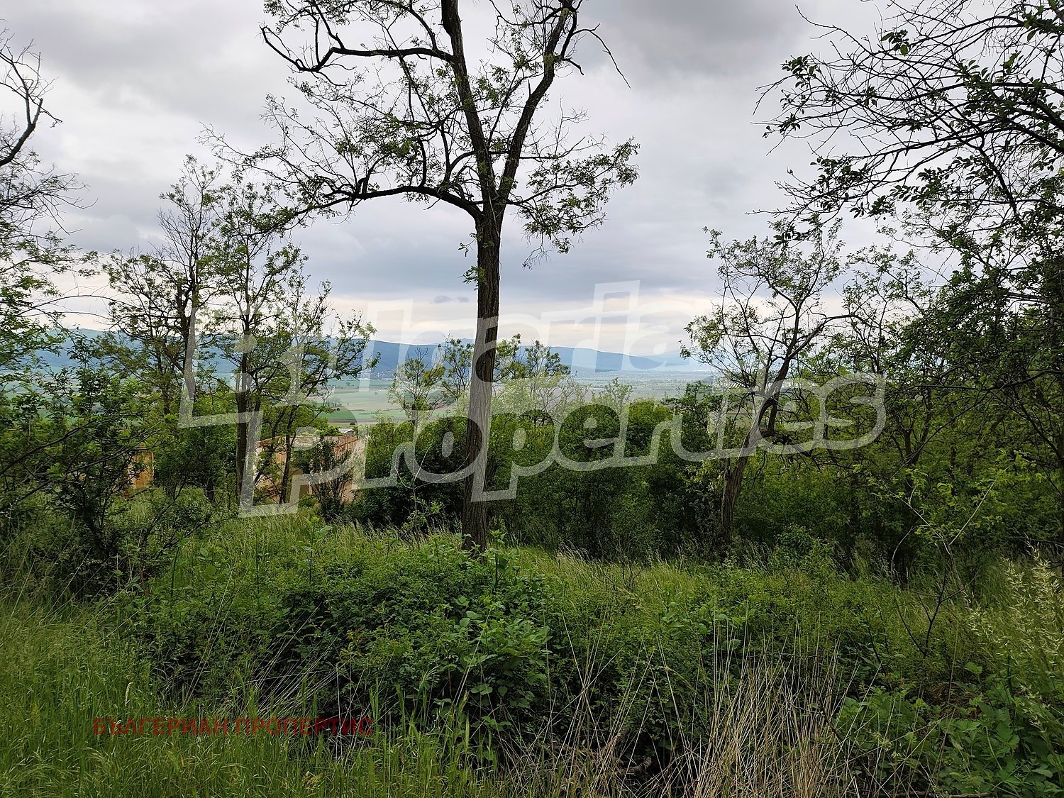 Продава ПАРЦЕЛ, с. Владимир, област Перник, снимка 14 - Парцели - 54690158
