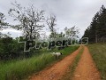 Продава  Парцел област Перник , с. Владимир , 1136 кв.м | 77978485 - изображение [13]