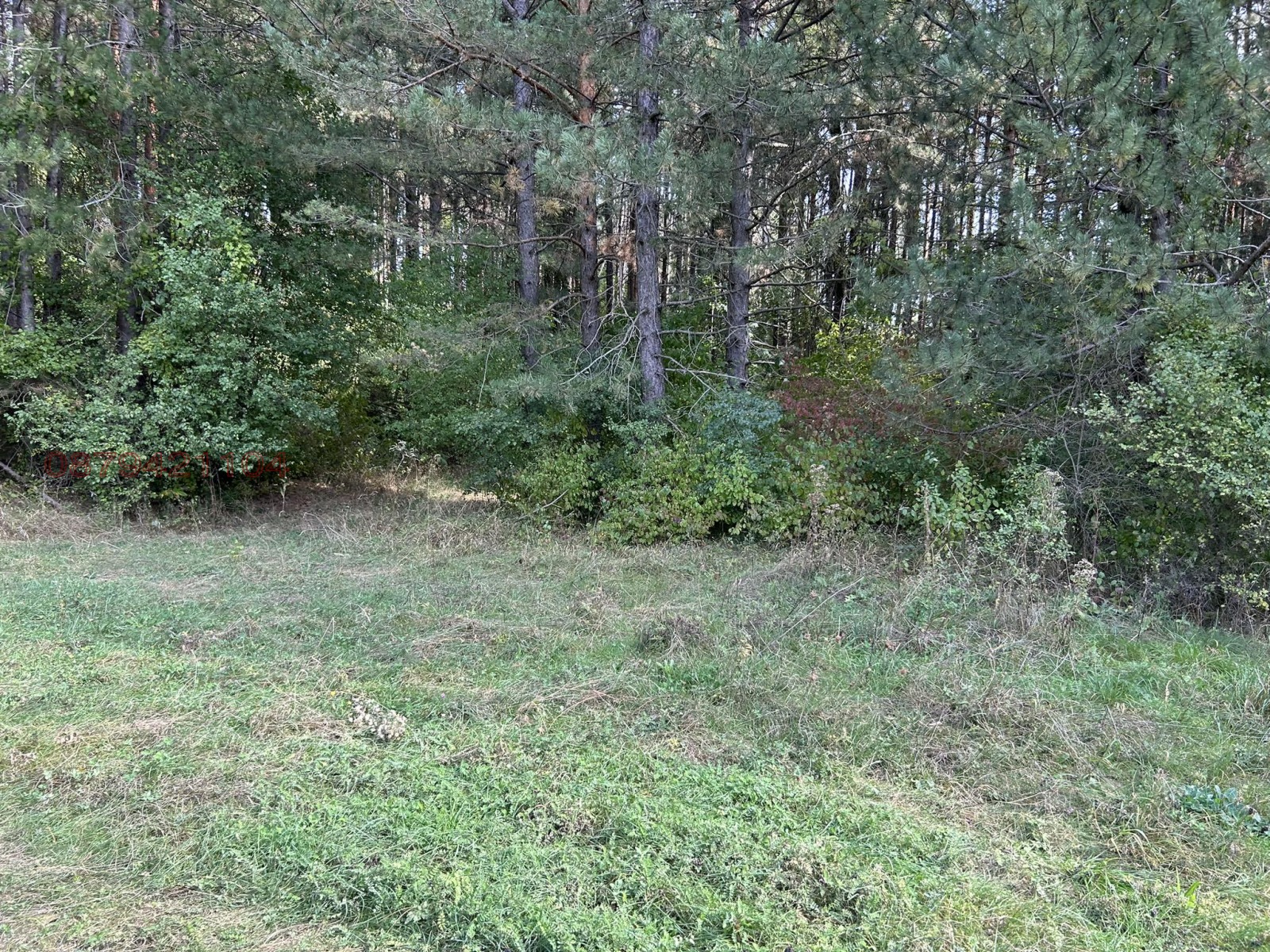 ������� ������ | Imot.bg � ����������� 6