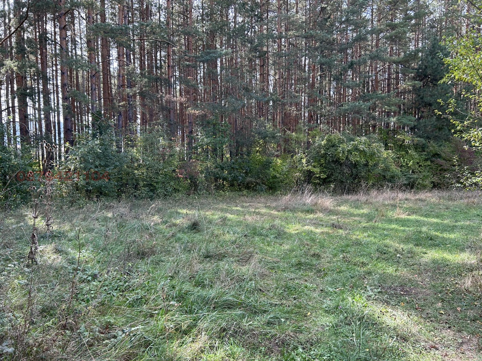 ������� ������ | Imot.bg � ����������� 4