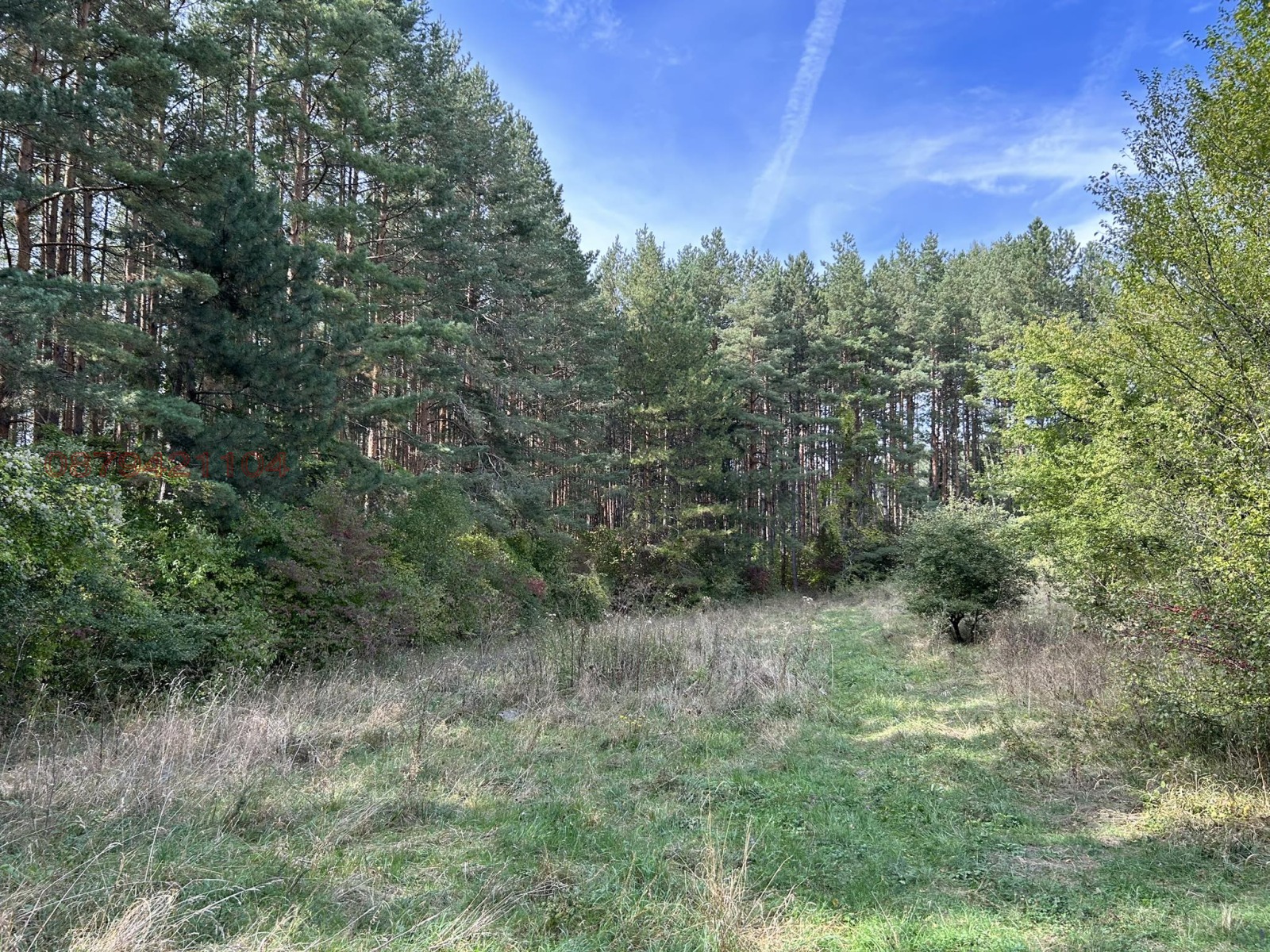 ������� ������ | Imot.bg � ����������� 1