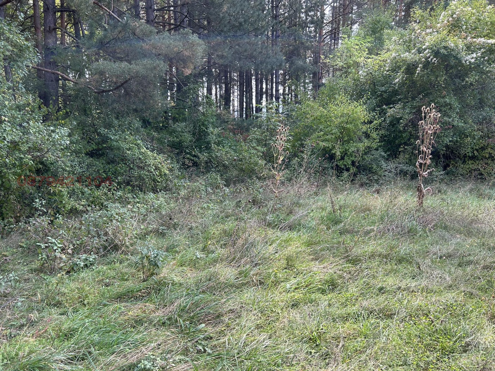 ������� ������ | Imot.bg � ����������� 2