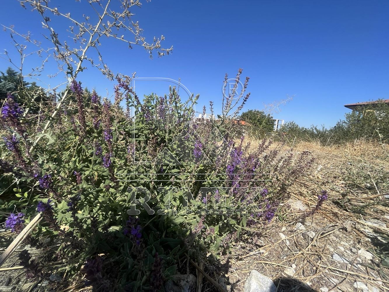 ������� ������ | Imot.bg � ����������� 6