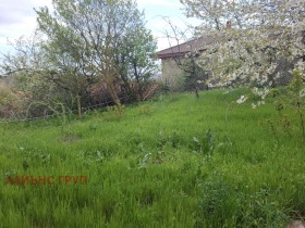 ������� ���� | Imot.bg � ����� ������ 17