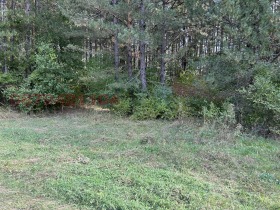 ������� ������ | Imot.bg � ����� ������ 6