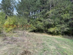 ������� ������ | Imot.bg � ����� ������ 5