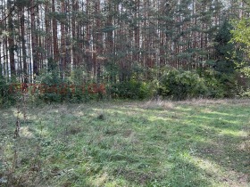 ������� ������ | Imot.bg � ����� ������ 4