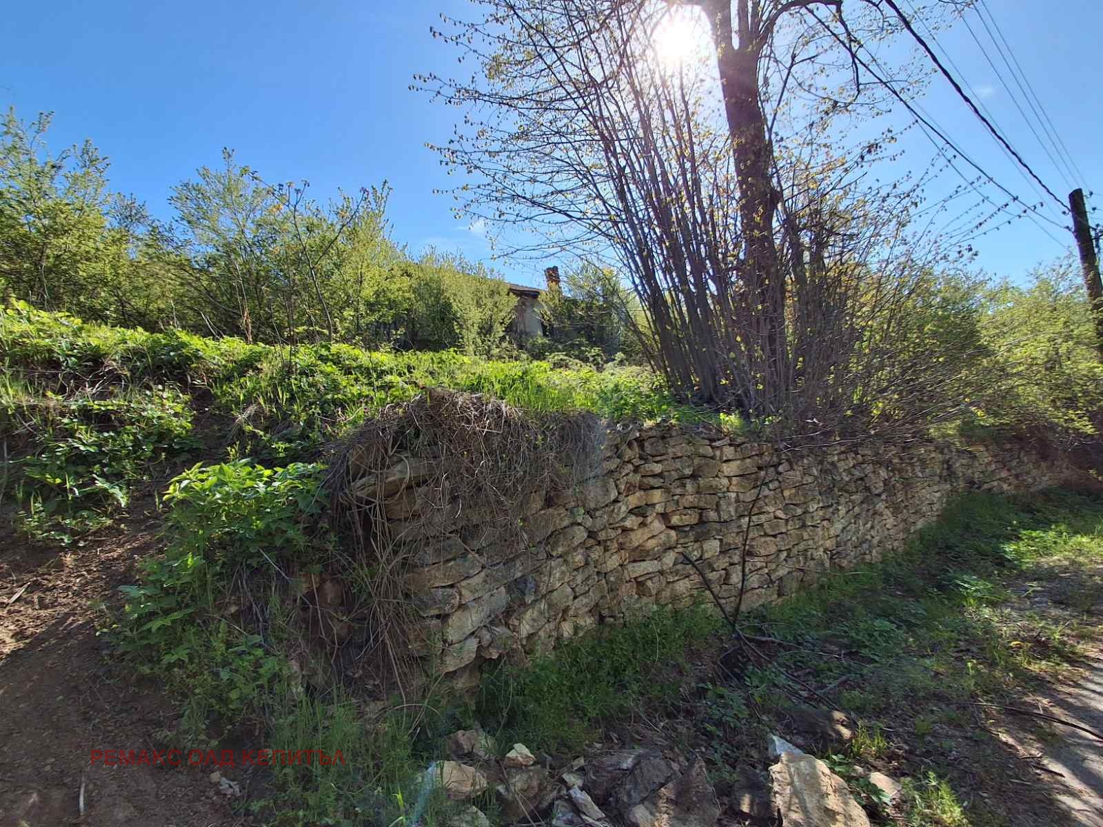 Продава ПАРЦЕЛ, с. Бадевци, област Велико Търново, снимка 4 - Парцели - 54366678