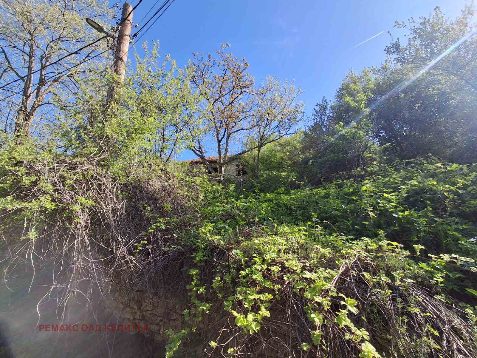 Продава ПАРЦЕЛ, с. Бадевци, област Велико Търново, снимка 7 - Парцели - 54366678