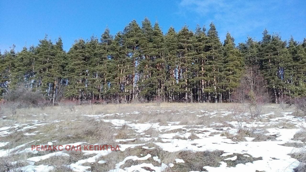 Продава ПАРЦЕЛ, с. Бадевци, област Велико Търново, снимка 3 - Парцели - 54366678