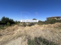 Продава ПАРЦЕЛ, с. Белащица, област Пловдив, снимка 2