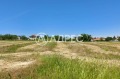 Продава ПАРЦЕЛ, област Варна, с. Здравец • 550000 € • 97071343 — Holmes.bg
