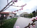 Продава  2-стаен област Варна , с. Приселци , 60 кв.м | 53453772 - изображение [11]