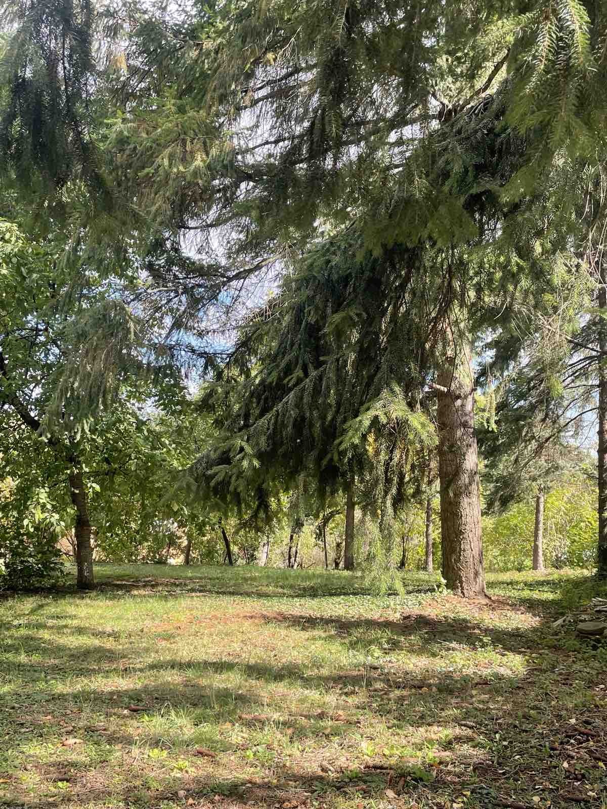 Продава КЪЩА | Imot.bg — изображение 3