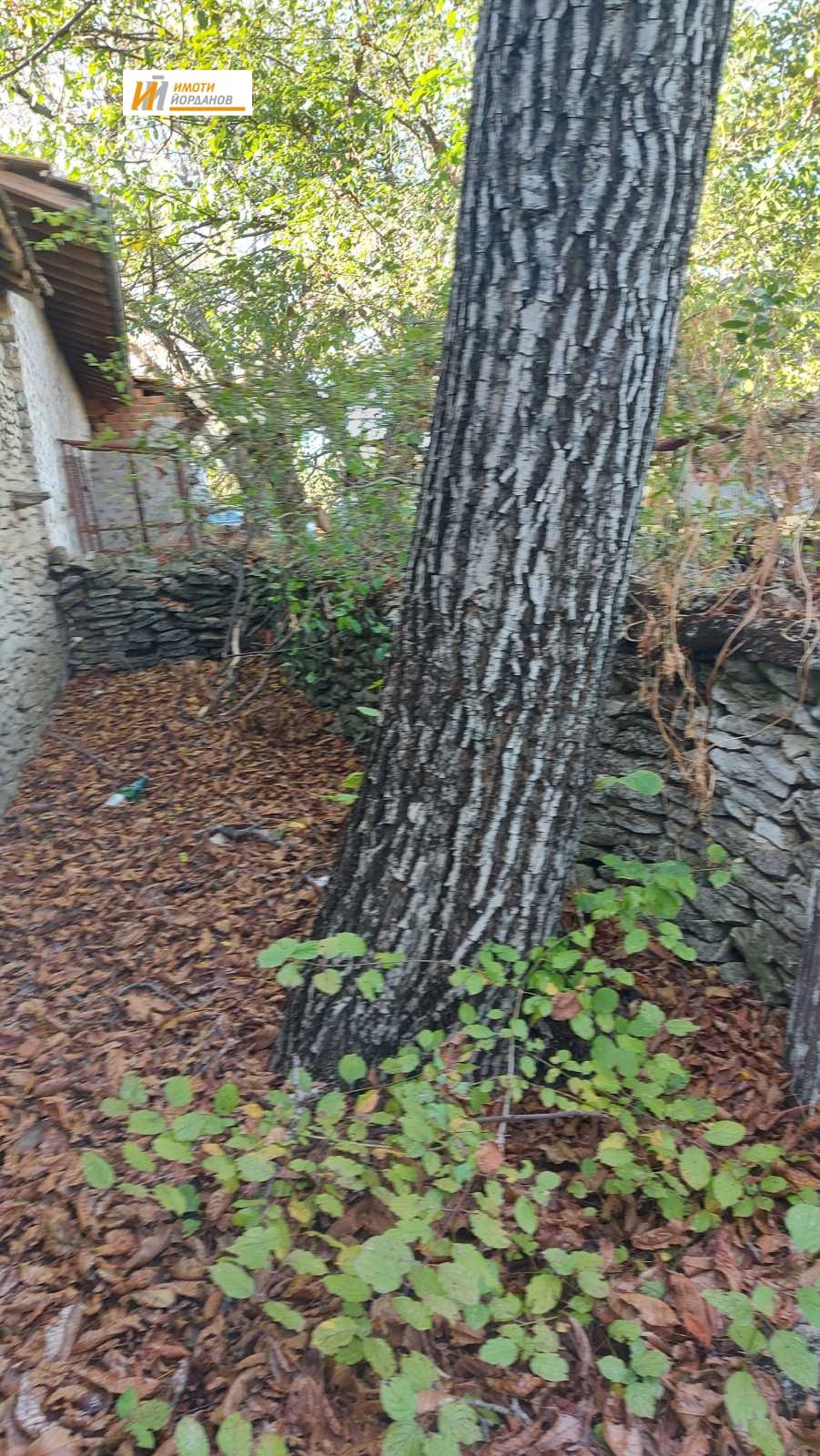 Продава ПАРЦЕЛ, с. Момин сбор, област Велико Търново, снимка 2 - Парцели - 53675082