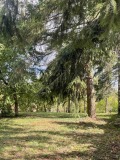 Продава КЪЩА, град София, гр. Банкя • 717000 € • 69524476 — Holmes.bg